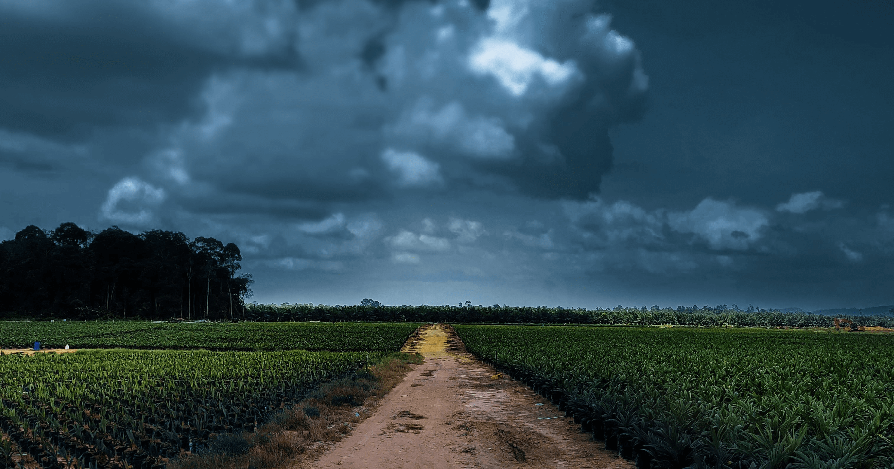 KAMPUNG PELAK, PEKAN, PAHANG.